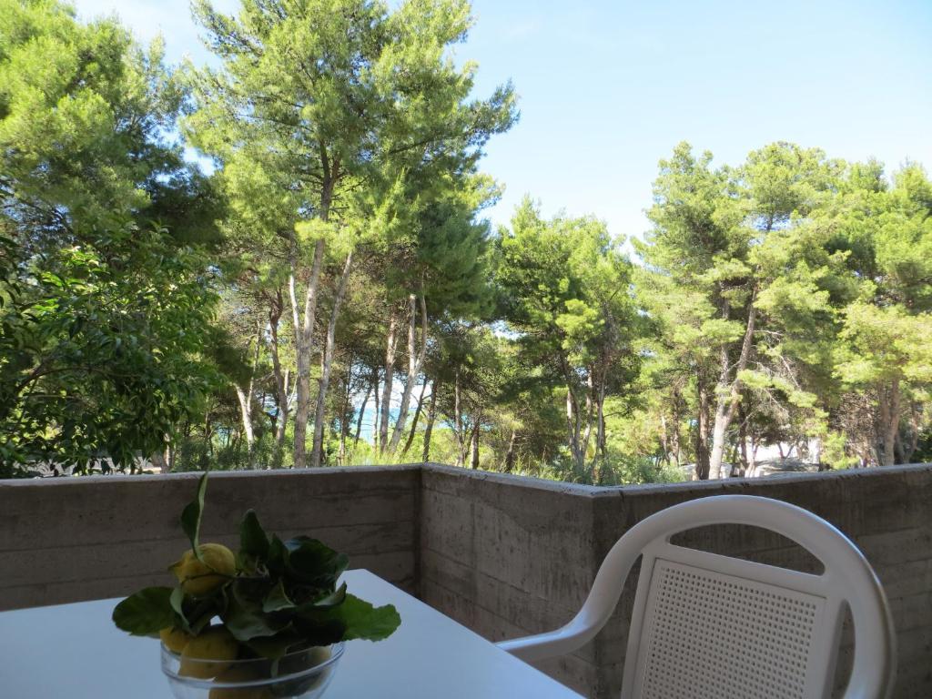 Villaggio Hotel Ripa 로디가르가니코 객실 사진
